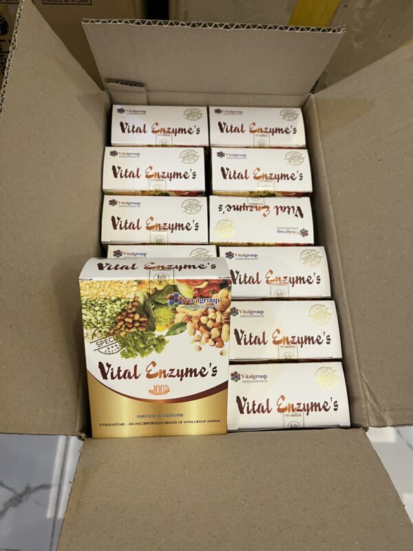 Vital Enzymes VitalGroup Hộp 30 Gói - Hỗ Trợ Thanh Lọc Cơ Thể, Tiêu Hoá Tốt - Hình ảnh 5